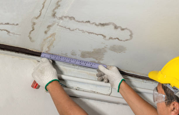 Reliable Mold Remediation contractor in Shawnee, OK by Water Damage Irwin